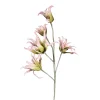 Depot Softflower-Kunstblume Exotica> Einzelblumen & Zweige
