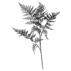 Depot Adventskranz-Deko^Stielblume Farn Glam Ca. 58Cm