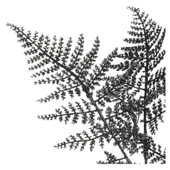Depot Adventskranz-Deko^Stielblume Farn Glam Ca. 58Cm