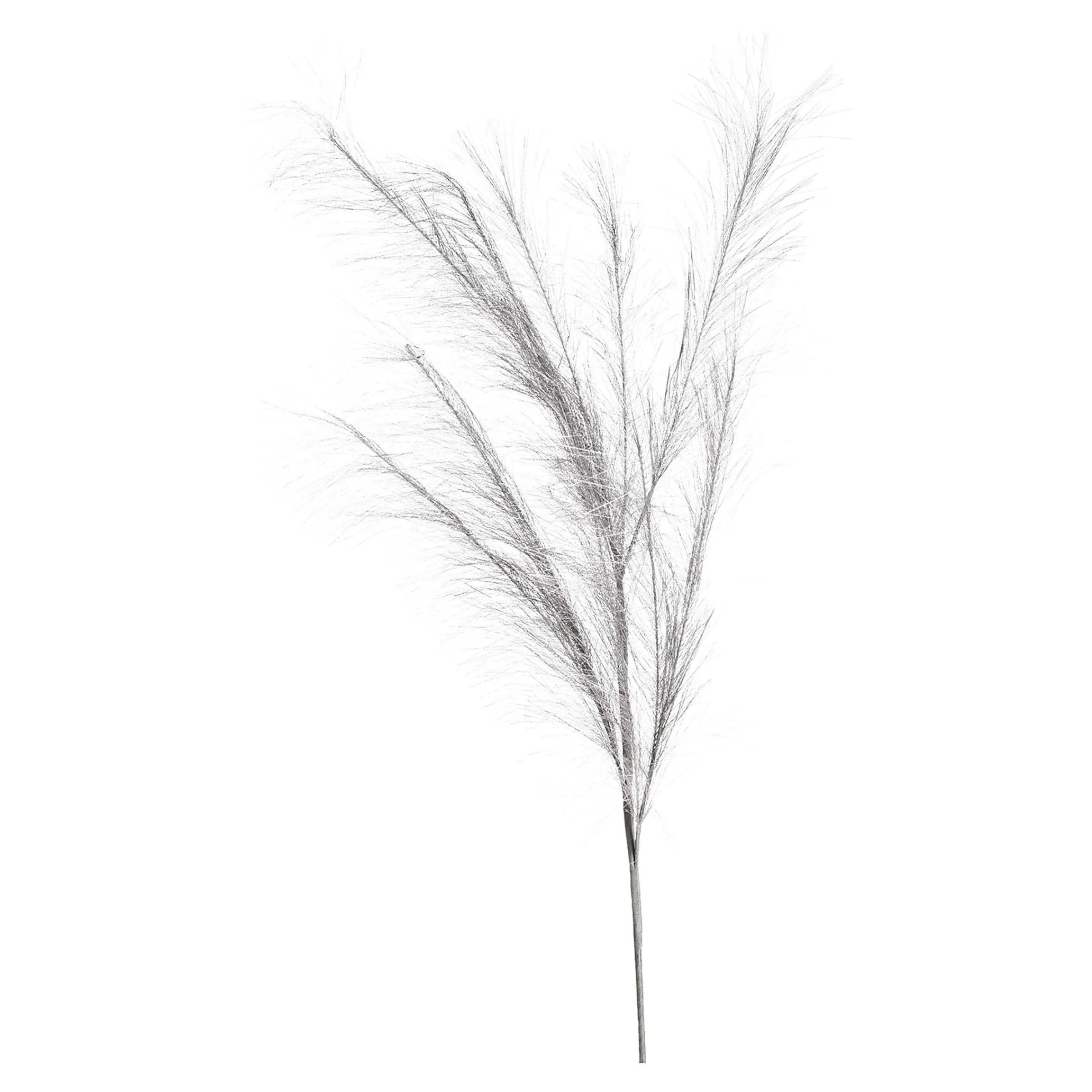 Depot Blumen^Stielblume Pampas Glam Ca. 110