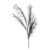 Depot Blumen^Stielblume Pampas Glam Ca. 110
