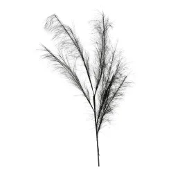 Depot Blumen^Stielblume Pampas Glam Ca. 110