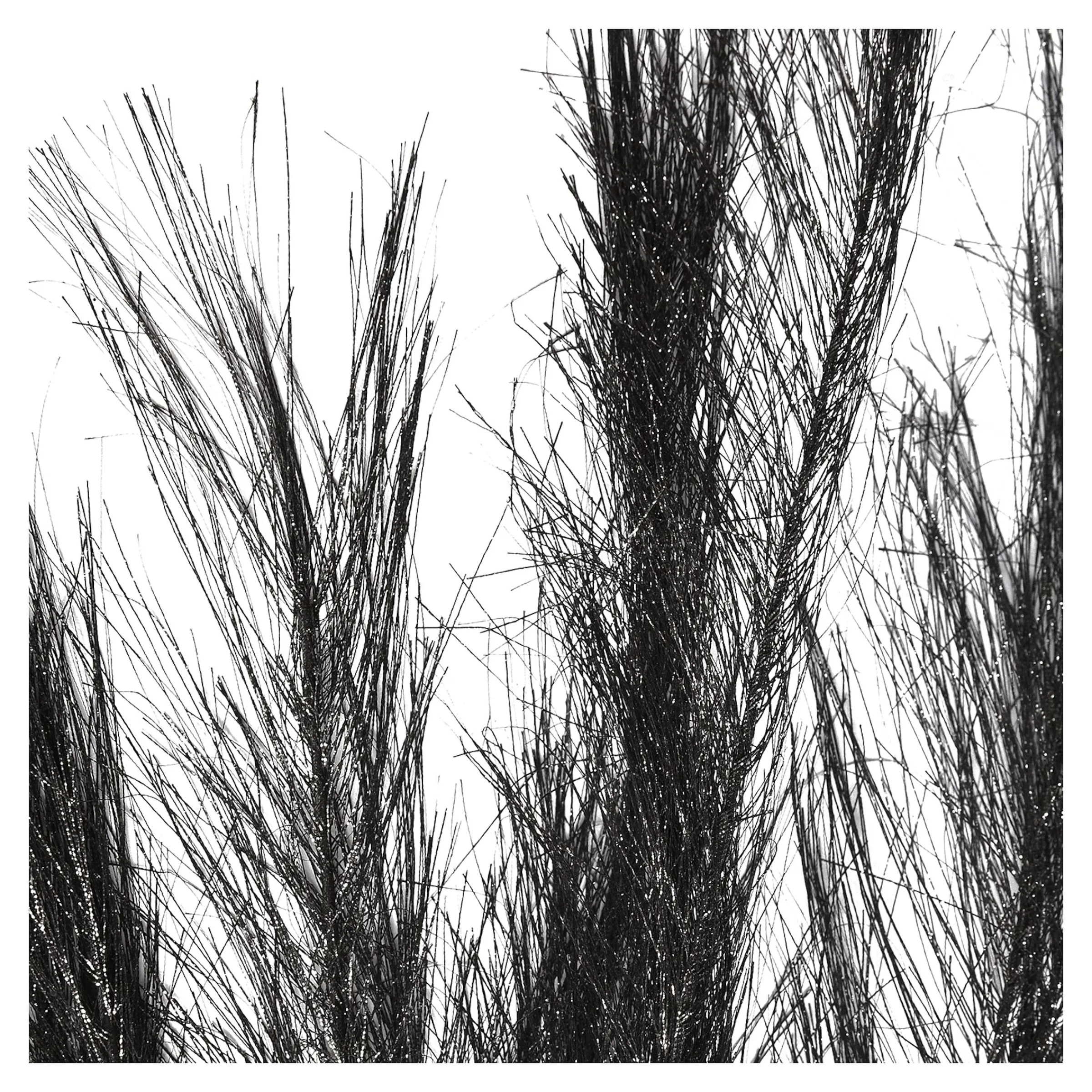 Depot Blumen^Stielblume Pampas Glam Ca. 110