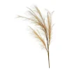 Depot Blumen^Stielblume Pampas Glam Ca. 110