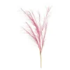 Depot Blumen^Stielblume Pampas Glam Ca. 110