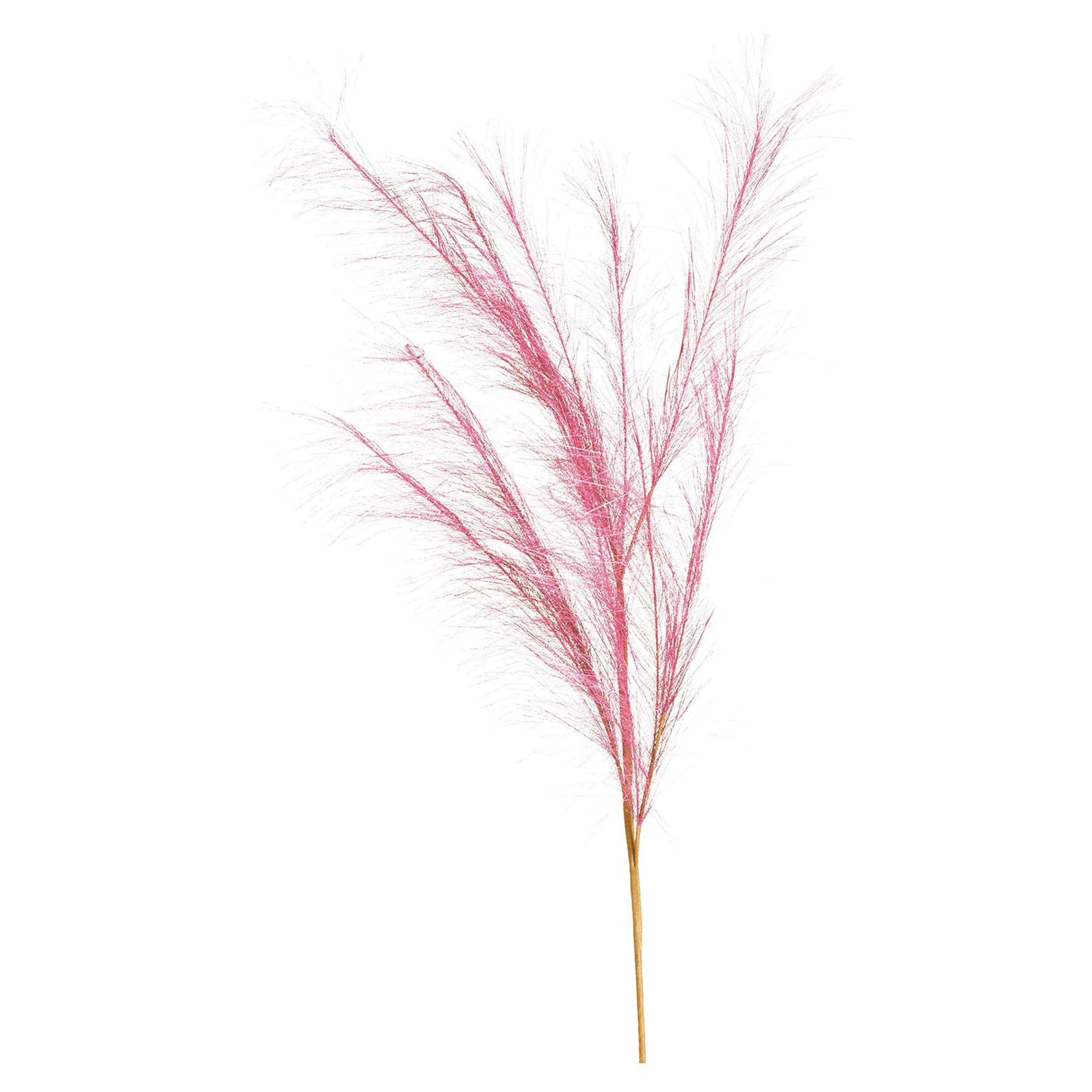 Depot Blumen^Stielblume Pampas Glam Ca. 110