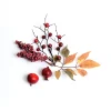 Depot Adventskranz-Deko^Streuartikel Beeren & Blatter