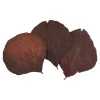 Depot Adventskranz-Deko^Trockenblatter Cobra