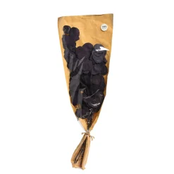 Depot Trockenblume Eukalyptus Bold><noscript><img width=