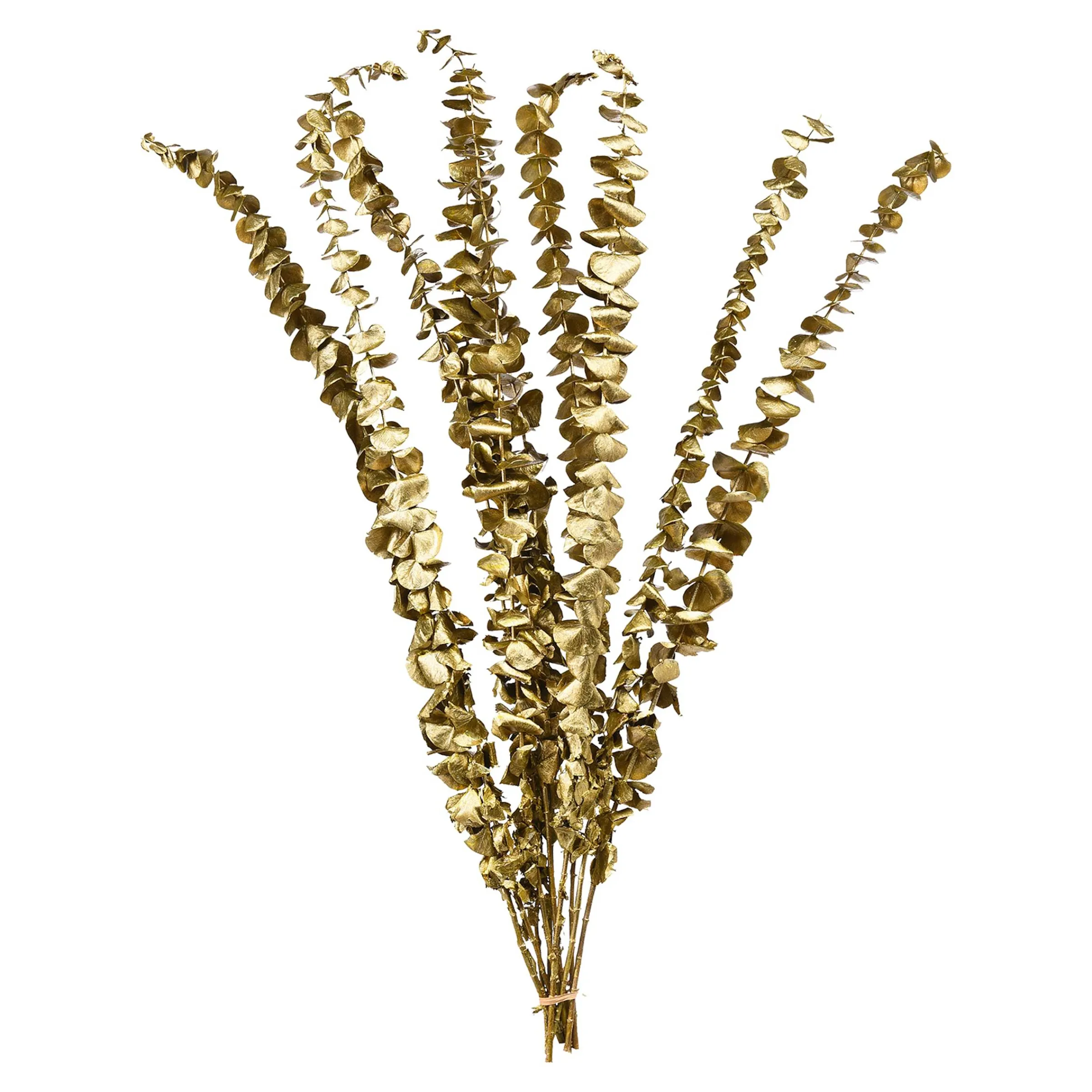 Depot Adventskranz-Deko^Trockenblume Eukalyptus Ca.55C