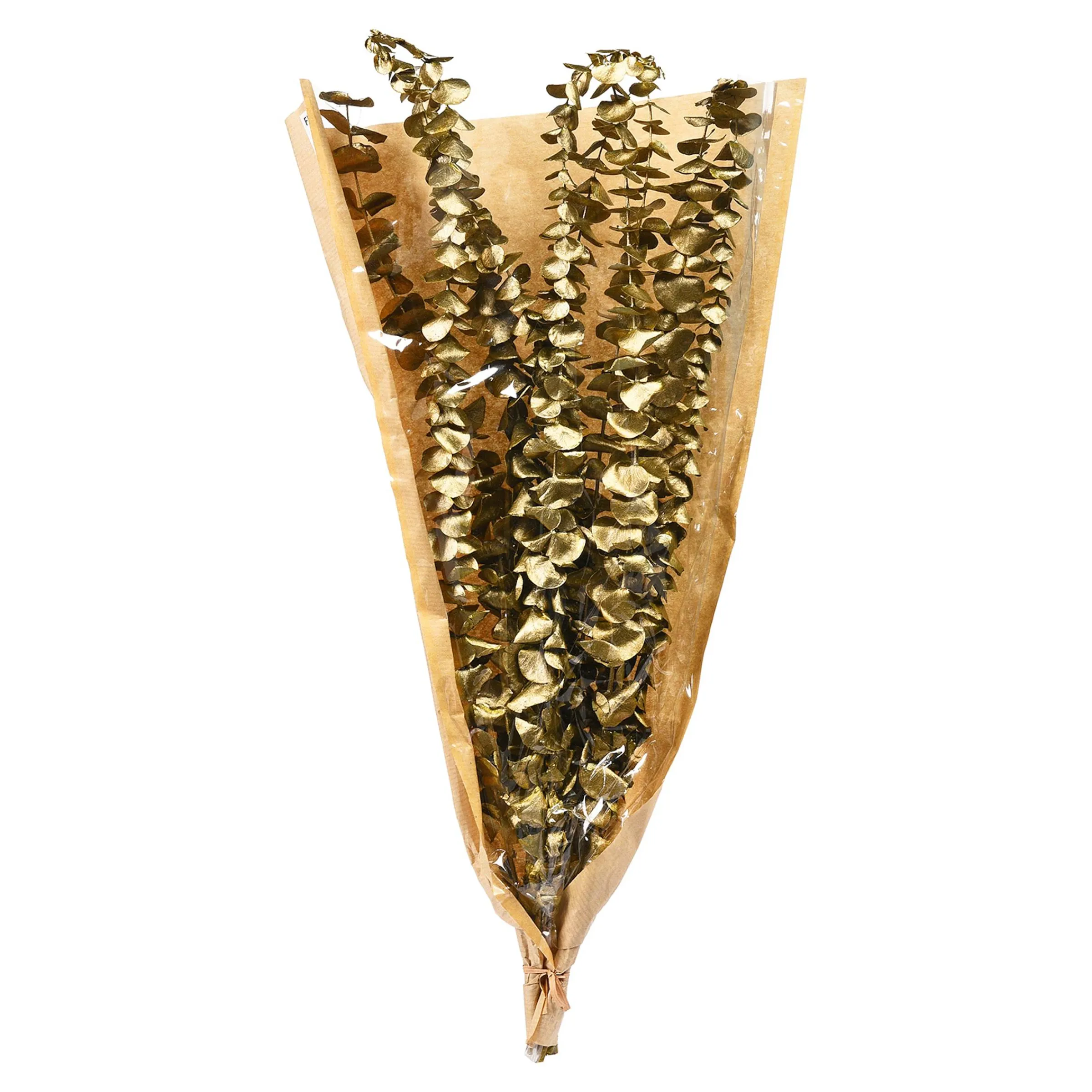Depot Adventskranz-Deko^Trockenblume Eukalyptus Ca.55C