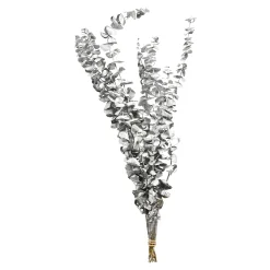 Depot Adventskranz-Deko^Trockenblume Eukalyptus Ca.55C