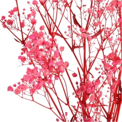 Depot Trockenblume Gypsophilia> Einzelblumen & Zweige