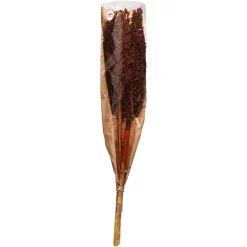 Depot Trockenblume Indian Corn><noscript><img width=