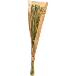 Depot Trockenblume Kanarienvogel><noscript><img width=