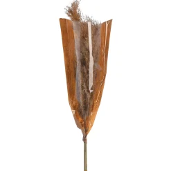 Depot Blumen^Trockenblume Pampasgras