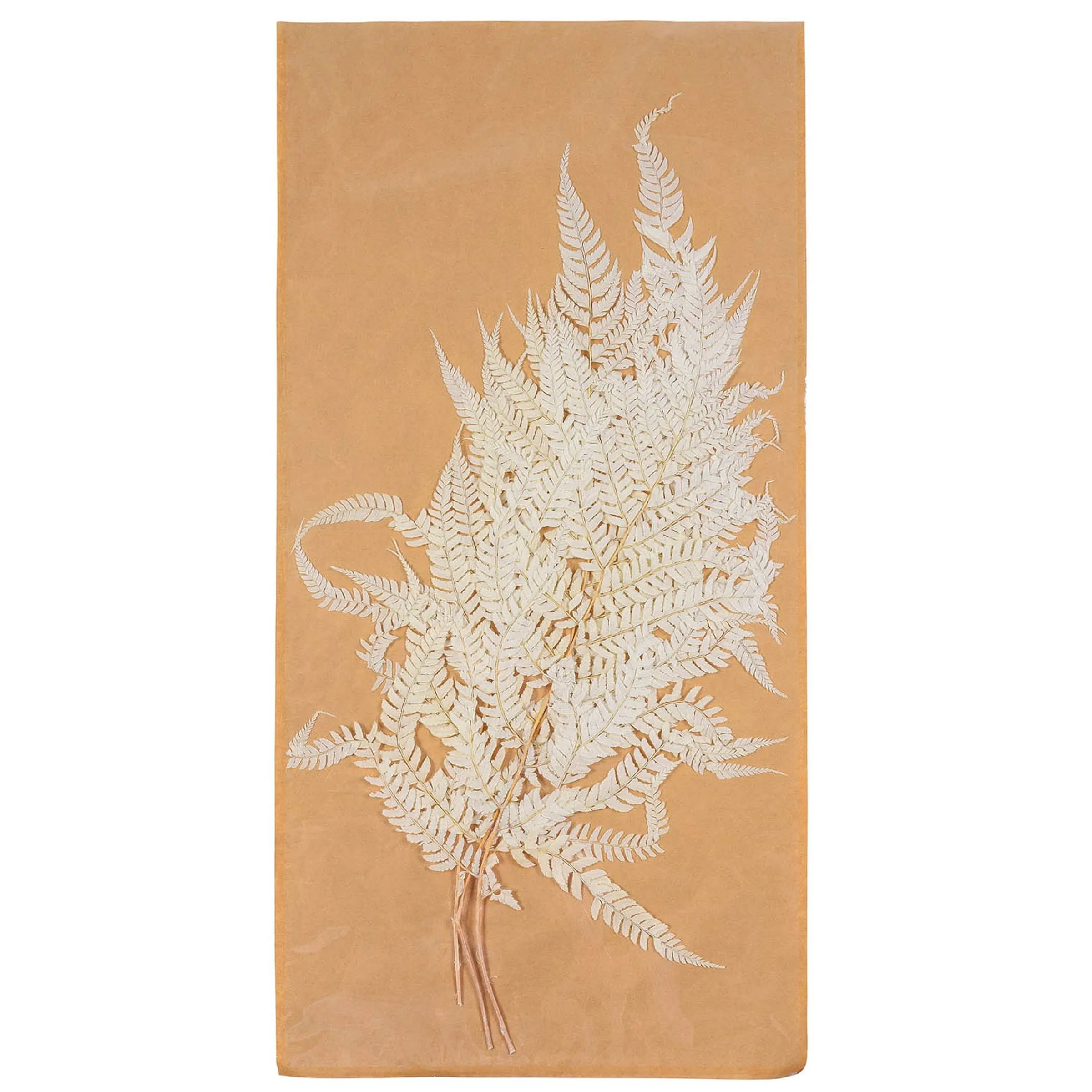 Depot Blumen^Trockenblumen Farn