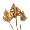 Depot Geschenkideen^Trockenblumen Palmleaf