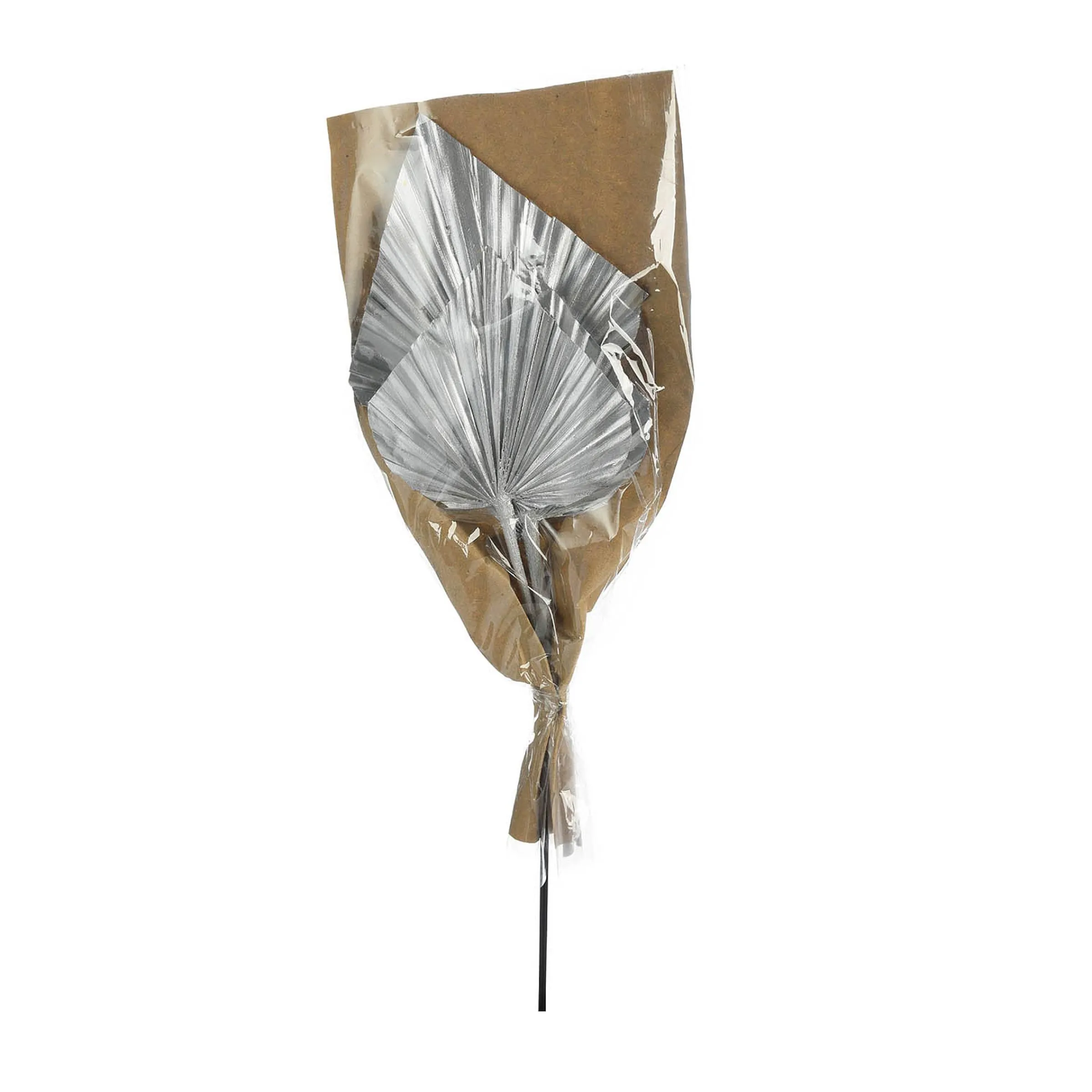 Depot Geschenkideen^Trockenblumen Palmleaf