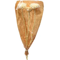 Depot Trockenblumen Proteablute><noscript><img width=