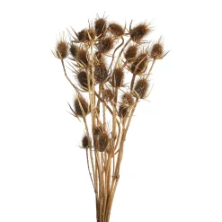 Depot Trockenblumenbund Distel> Einzelblumen & Zweige