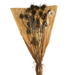 Depot Trockenblumenbund Distel><noscript><img width=