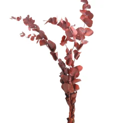 Depot Blumen^Trockenblumenbund Eukalyptus