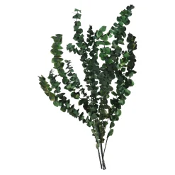 Depot Blumen^Trockenblumenbund Eukalyptus