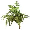Depot Trockenblumenbund Eukalyptus> Einzelblumen & Zweige