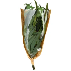 Depot Trockenblumenbund Eukalyptus><noscript><img width=