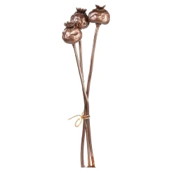Depot Geschenk-Deko^Trockenblumenbund Mohnkapseln