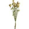Depot Trockenblumenbund Nigella> Einzelblumen & Zweige
