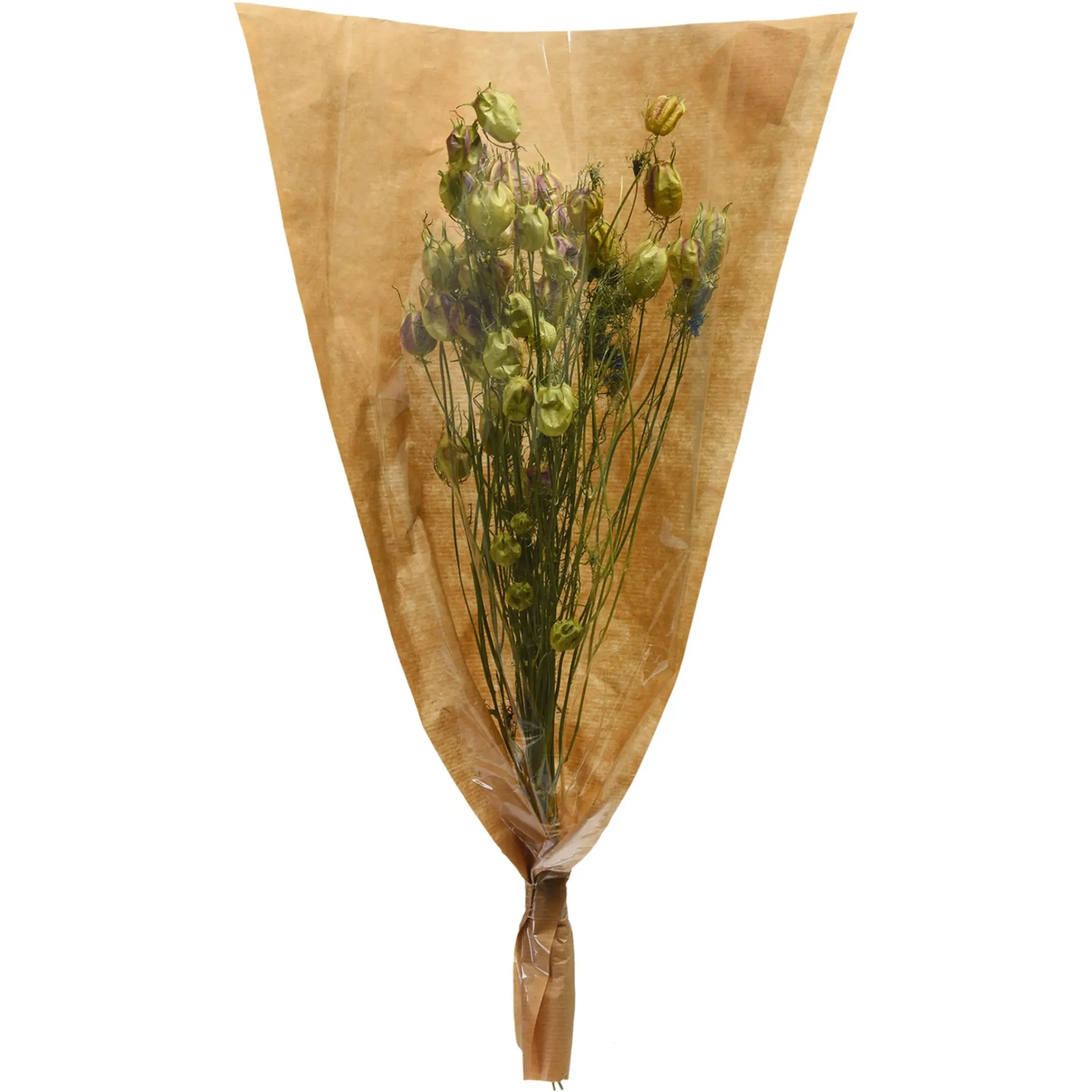 Depot Trockenblumenbund Nigella> Einzelblumen & Zweige