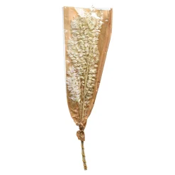 Depot Geschenkideen^Trockenblumenbund Ruscus