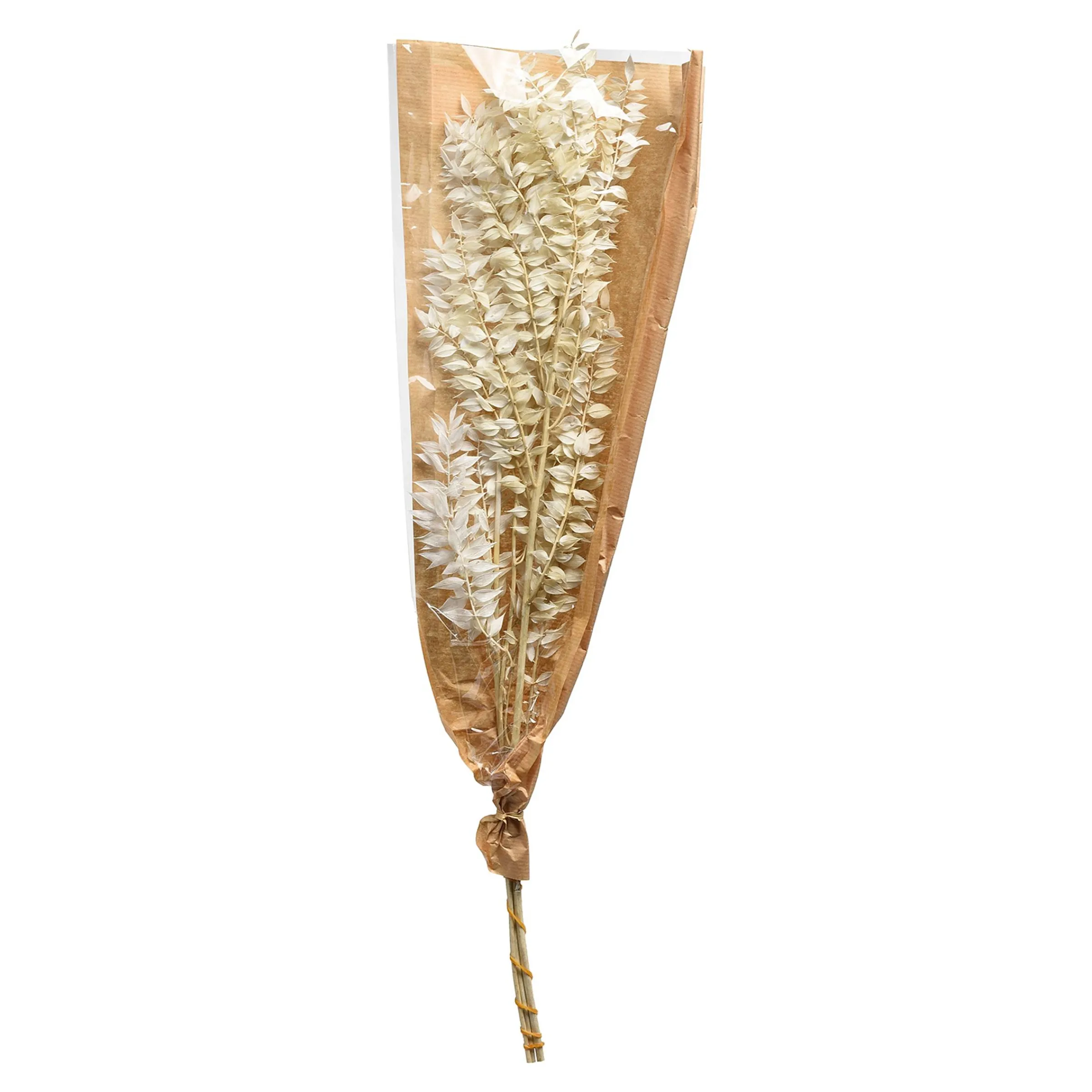 Depot Geschenkideen^Trockenblumenbund Ruscus