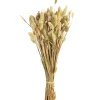 Depot Blumen^Trockenblumenbund Samtgras