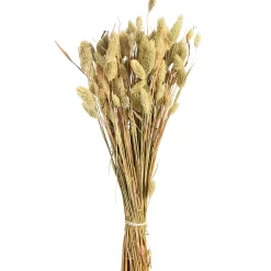 Depot Blumen^Trockenblumenbund Samtgras