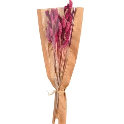 Depot Blumen^Trockenblumenbund Samtgras