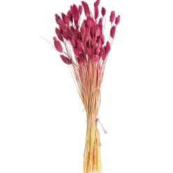 Depot Blumen^Trockenblumenbund Samtgras