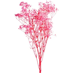 Depot Trockenblumenbund Schleierkraut> Einzelblumen & Zweige