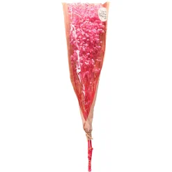 Depot Trockenblumenbund Schleierkraut><noscript><img width=