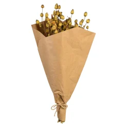Depot Blumen^Trockenblumenbund Sonnenwend