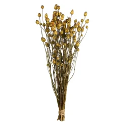 Depot Blumen^Trockenblumenbund Sonnenwend