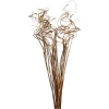 Depot Trockenblumen-Bundel Curly> Einzelblumen & Zweige