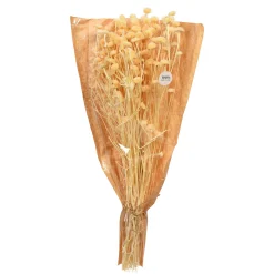 Depot Trockenblumen-Bundel Wild Daisy><noscript><img width=