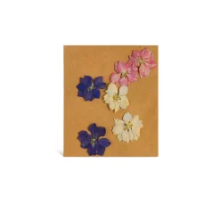 Depot Geschenk-Deko^Trockenbluten Fruhlingsblumenmix, Gepresst