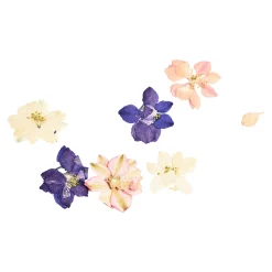 Depot Geschenk-Deko^Trockenbluten Fruhlingsblumenmix, Gepresst