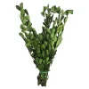 Depot Geschenkideen^Trockenbundel Buchs
