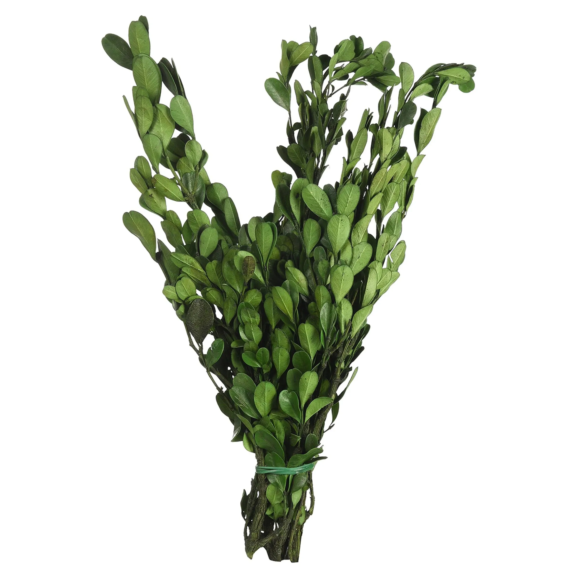 Depot Geschenkideen^Trockenbundel Buchs