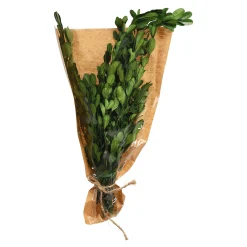 Depot Geschenkideen^Trockenbundel Buchs